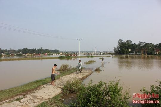 Cuộc sống của người dân vùng rốn lũ