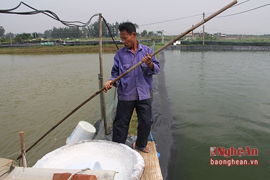 Hàng tỷ đồng của người nuôi tôm trôi theo nước lũ