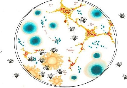 Cỗ máy siêu nhỏ có thể tìm diệt tế bào ung thư