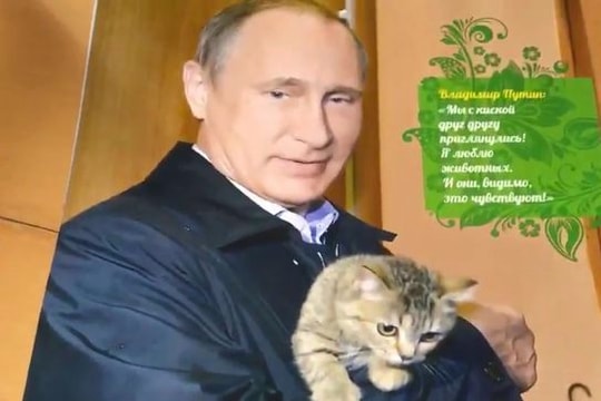 Hình ảnh Putin ôm mèo lên lịch 2017