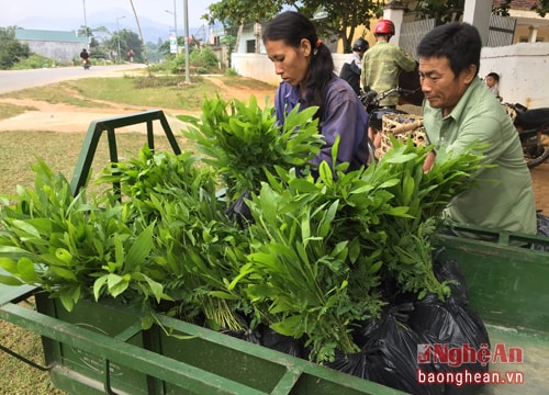 Thí điểm chi trả dịch vụ môi trường rừng đối với các cơ sở sản xuất công nghiệp