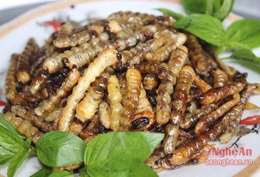 Kỳ quái món ăn từ sâu đục thân