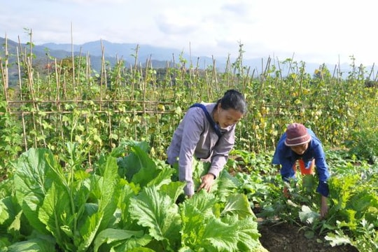Chủ trương sáng tạo gắn với trách nhiệm, sự sẻ chia