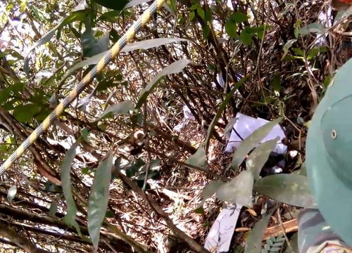 Tìm thấy hộp đen máy bay rơi ở Vũng Tàu