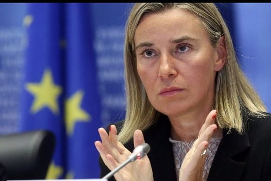 Niềm hy vọng hiếm hoi của châu Âu