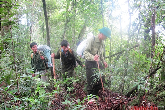 Những người giữ rừng nơi đại ngàn Pù Mát