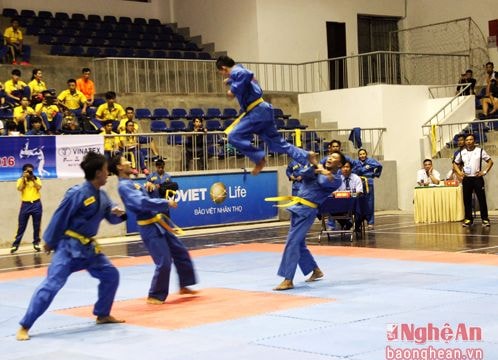 Hơn 350 võ sĩ tranh tài vô địch Vovinam toàn quốc