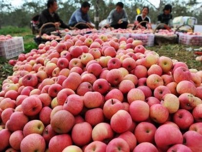 Hàng nghìn mặt hàng sẽ vào Việt Nam với thuế 0% nhờ ACFTA