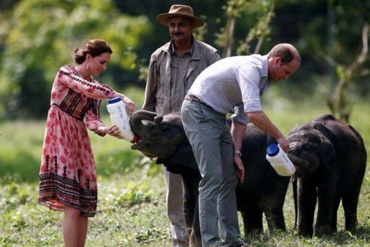 Hoàng tử Anh William sẽ đến Việt Nam một mình