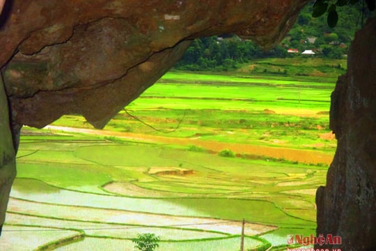 Vẻ đẹp của những thửa ruộng bậc thang miền Tây xứ Nghệ