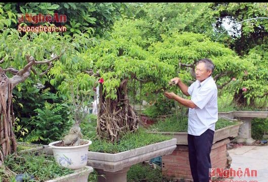 Giúp cựu chiến binh tiếp cận vốn vay giảm nghèo