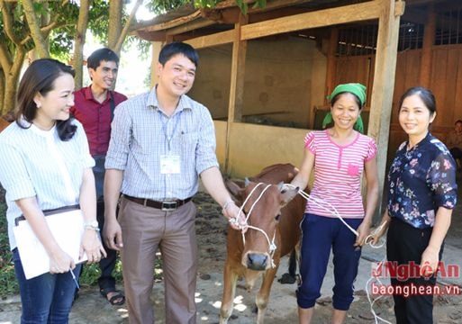 Báo Nghệ An tặng bò sinh sản cho hộ nghèo ở Xiêng My