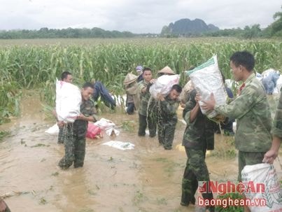 Sư đoàn 324 tuyên dương 14 tập thể và cá nhân giúp dân khắc phục lũ lụt