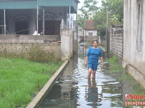 Nửa tháng sau lũ, người dân vẫn bì bõm sống chung với ngập