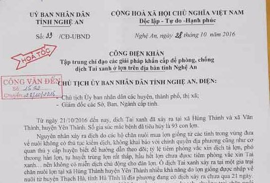 Chỉ đạo giải pháp khẩn cấp phòng, chống dịch tai xanh ở lợn trên địa bàn Nghệ An