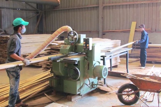 Phát huy vai trò động lực của doanh nghiệp trong phát triển