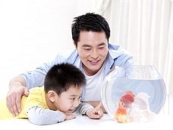 11 điều cha phải dạy con trai ngay từ khi còn nhỏ