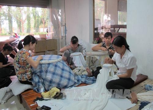 Quyết khởi kiện các doanh nghiệp nợ đọng bảo hiểm xã hội