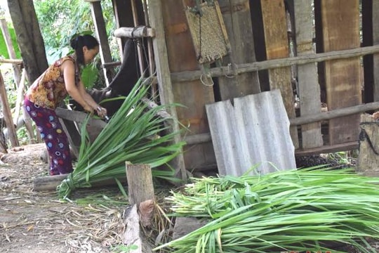 Kinh nghiệm chống đói, rét cho gia súc