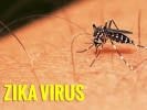 Thêm 12 người TP Hồ Chí Minh nhiễm virus Zika