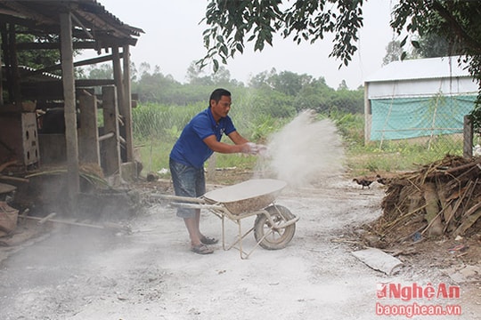 Yên Thành khẩn trương dập dịch tai xanh ở lợn