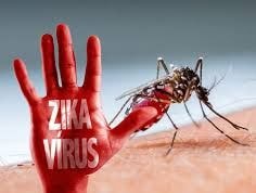 Virus Zika có thể gây vô sinh cho phái mạnh