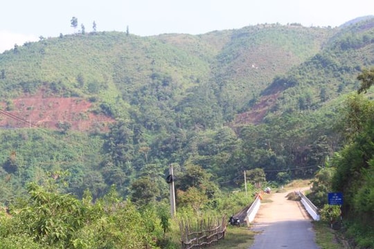 Nghệ An: Giao đất lâm nghiệp cho doanh nghiệp... dân xót