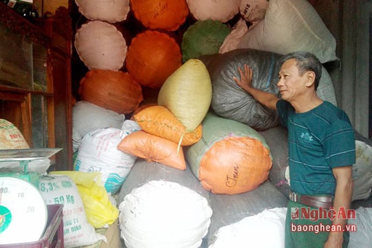 Nghệ An: Dược liệu quý rớt giá thê thảm