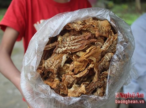 Những đặc sản núi rừng ven đường xứ Nghệ