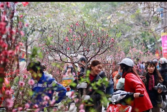 Tết Dương lịch được nghỉ bao nhiêu ngày?