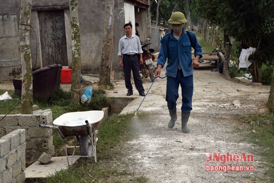 Yên Thành cần 20 nghìn liều vắc xin chống dịch tai xanh