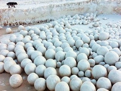 Hàng nghìn quả cầu tuyết xuất hiện trên bờ biển Nga