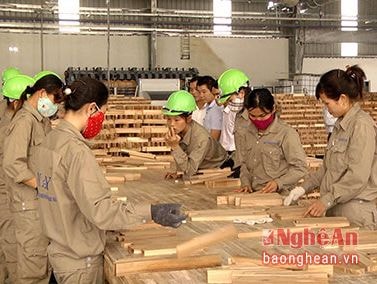 Quế Phong phối hợp trồng rừng với nhà máy chế biến gỗ lớn nhất Đông Nam Á