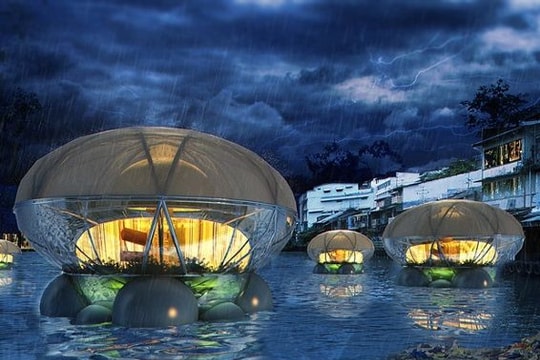 Khách sạn sứa khổng lồ thân thiện với môi trường