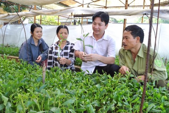 Kế hoạch hành động REDD+ giai đoạn 2016 - 2020