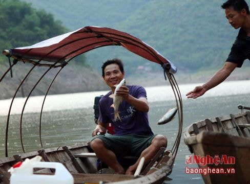 Nhọc nhằn nghề thu mua cá trên dòng Nậm Nơn