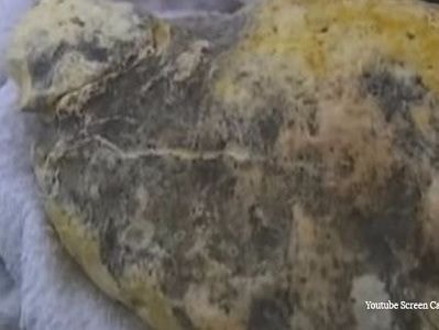 Bãi nôn của cá nhà táng giá 3 triệu USD ở Oman