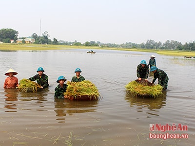 Bồi đắp tình nghĩa quân dân