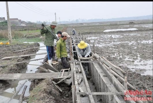 Bổ sung kinh phí chi trả chế độ giám sát cộng đồng