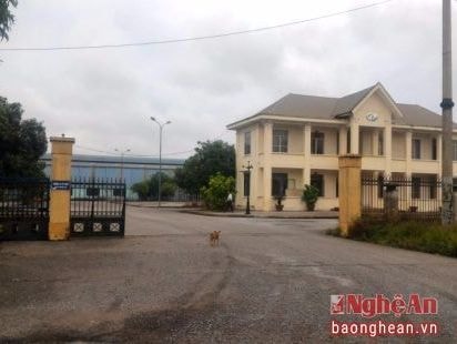 Phối hợp khởi kiện các doanh nghiệp nợ đọng BHXH