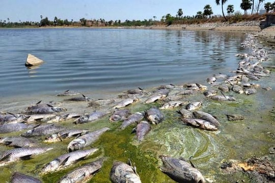 Bảo đảm cho tương lai