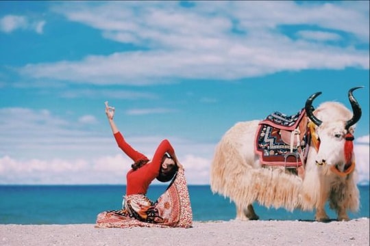 Cô gái Việt tập yoga ở độ cao gần 5.000 m xứ Tây Tạng