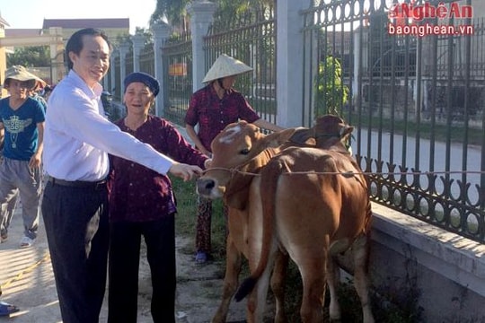 TX Hoàng Mai trích 400 triệu mua bò giống tặng hộ nghèo