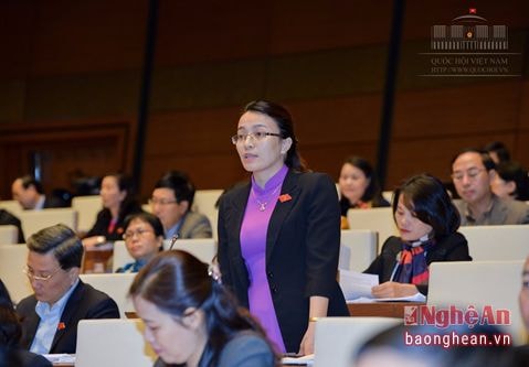 Đại biểu Hoàng Thu Trang: 'Cử tri quan ngại về chất lượng hậu kiểm tại các dự án có nguy cơ về môi trường'