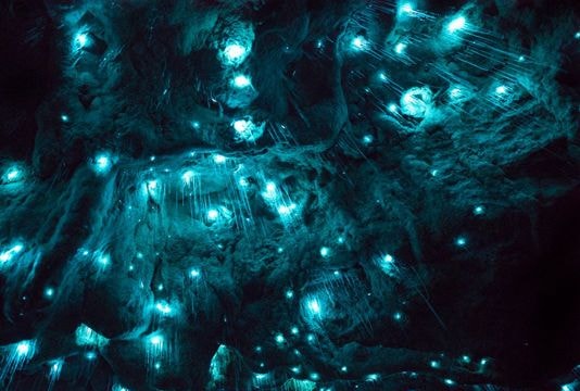 Kỳ bí hang động 30 triệu năm phát ánh sáng xanh