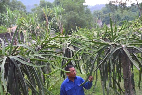 Xã Hội Sơn (Anh Sơn): Chú trọng cải thiện đời sống nhân dân