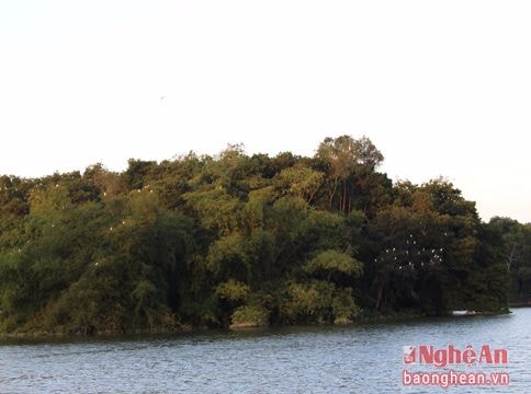 Vườn chim Khe Hồ - nơi trú ngụ của hàng ngàn chim trời