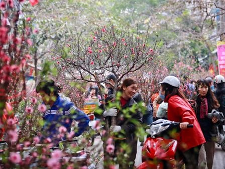 Hoạt động nổi bật tuần qua của Chính phủ, Thủ tướng Chính phủ