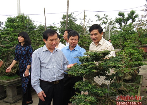 100% xã ngoại thành phố Vinh đạt 19/19 tiêu chí nông thôn mới