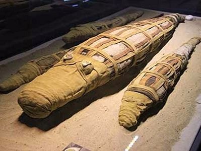 Xác ướp cá sấu 2.500 năm khiến giới khoa học sửng sốt